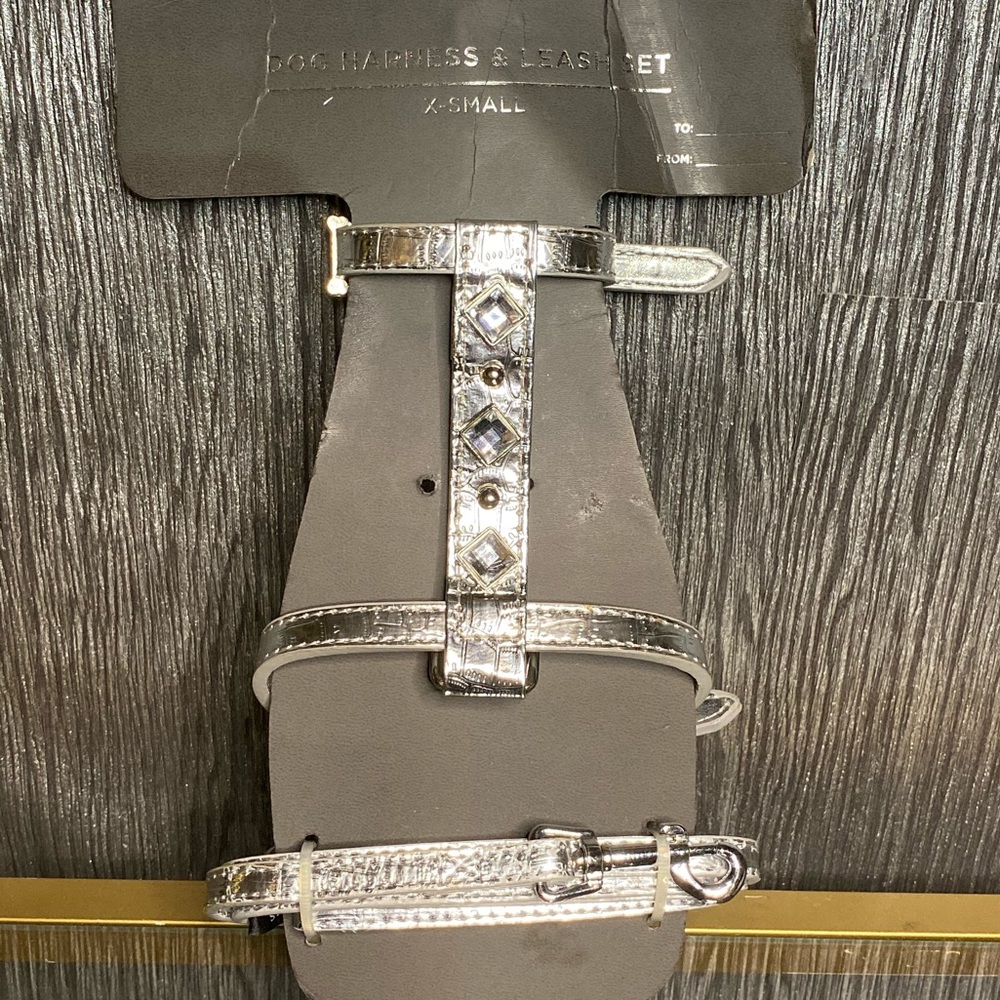 XS Doghaus Dog Harness and Leash